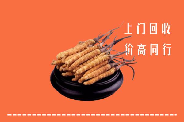 高价求购：白山回收散虫草