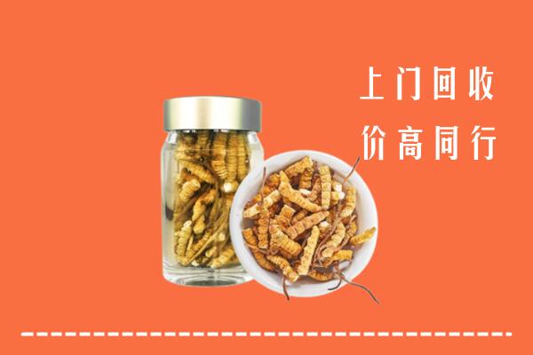 白山回收冬虫夏草
