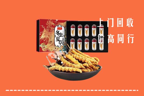 白山回收虫草